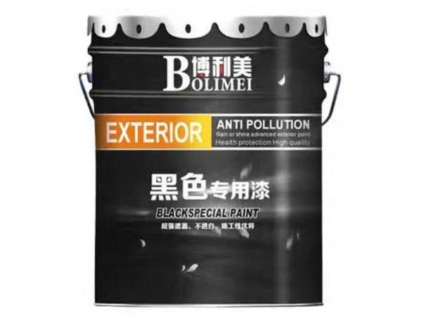 Black Special Paint