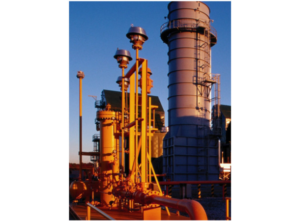 Water-based High-temperature Resistant Paint